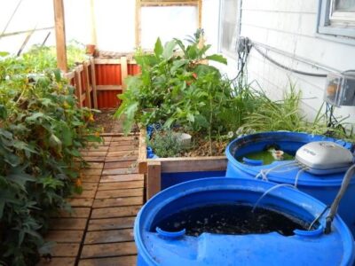 Year-Round Food Production: So Much More Than a Greenhouse Image